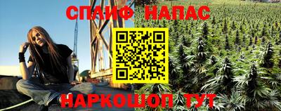 прущие грибы Бийск