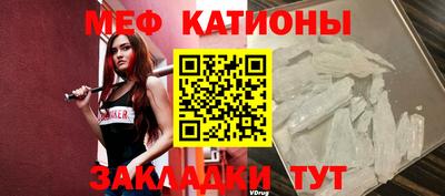 прущие грибы Бийск