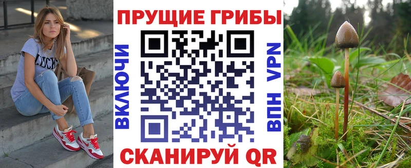 ОМГ ОМГ сайт  Кандалакша  Псилоцибиновые грибы мухоморы  дарнет шоп 
