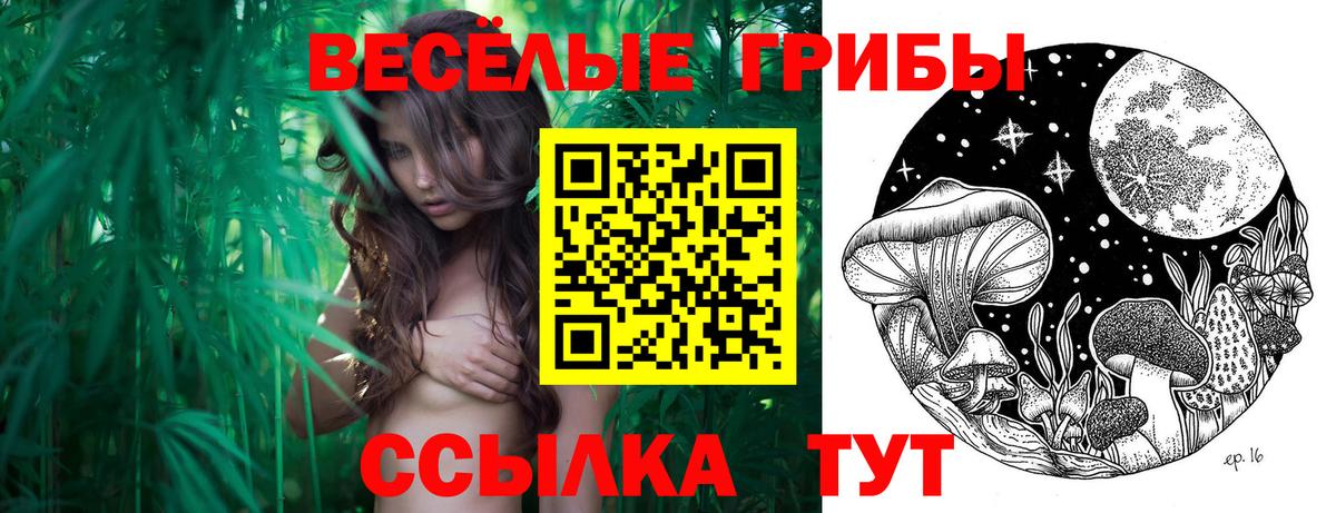 купить  цена  Псилоцибиновые грибы Cubensis  Кандалакша  Галлюциногенные грибы GOLDEN TEACHER 