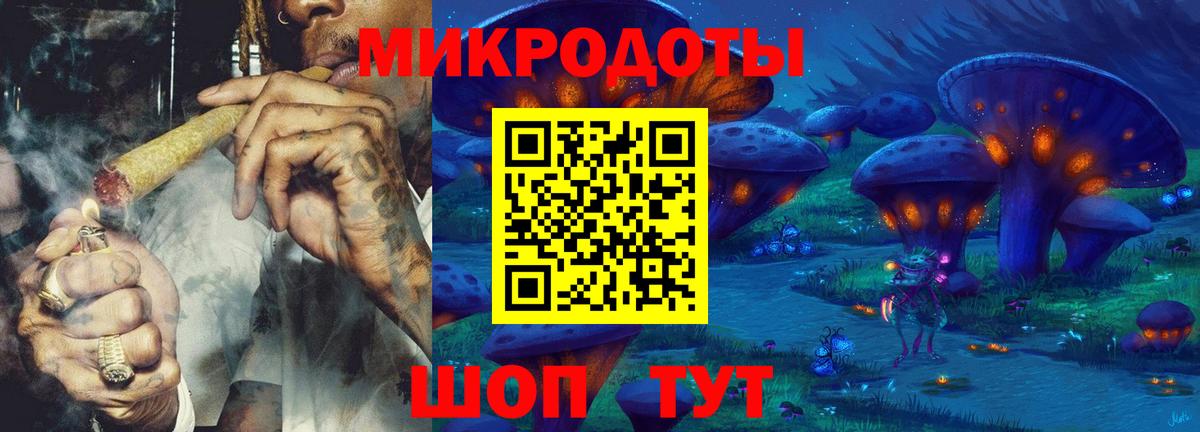 Псилоцибиновые грибы Cubensis  Вход с VPN  Кандалакша  Галлюциногенные грибы Psilocybine cubensis 