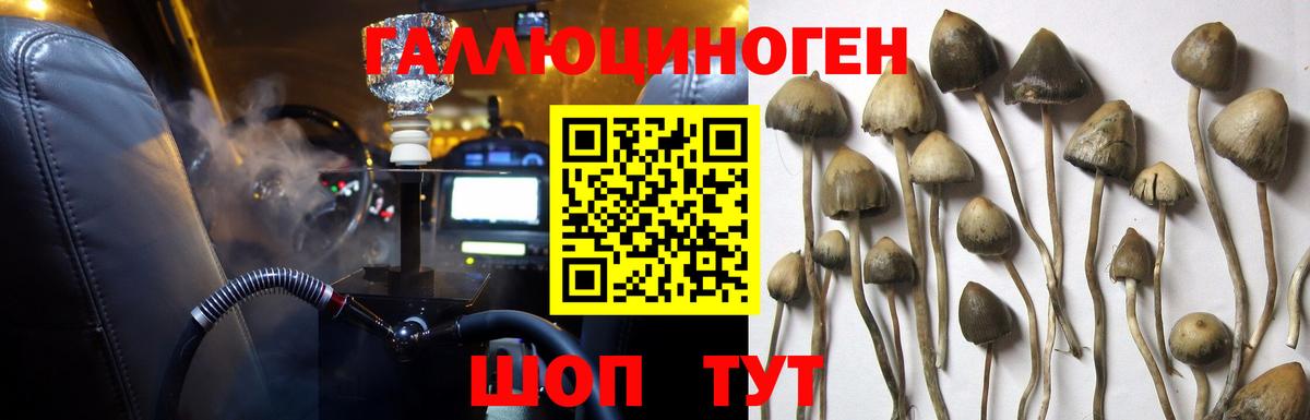 Галлюциногенные грибы MAGIC MUSHROOMS Кандалакша