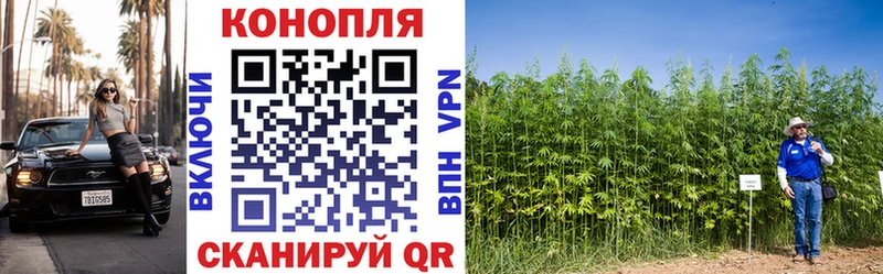 Канабис гибрид  Кандалакша 